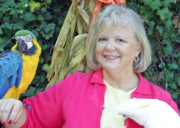 Barbara Sisk's album, Me and important things