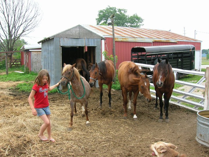 Jeff Reed's album, Horses - April 30, 2011
