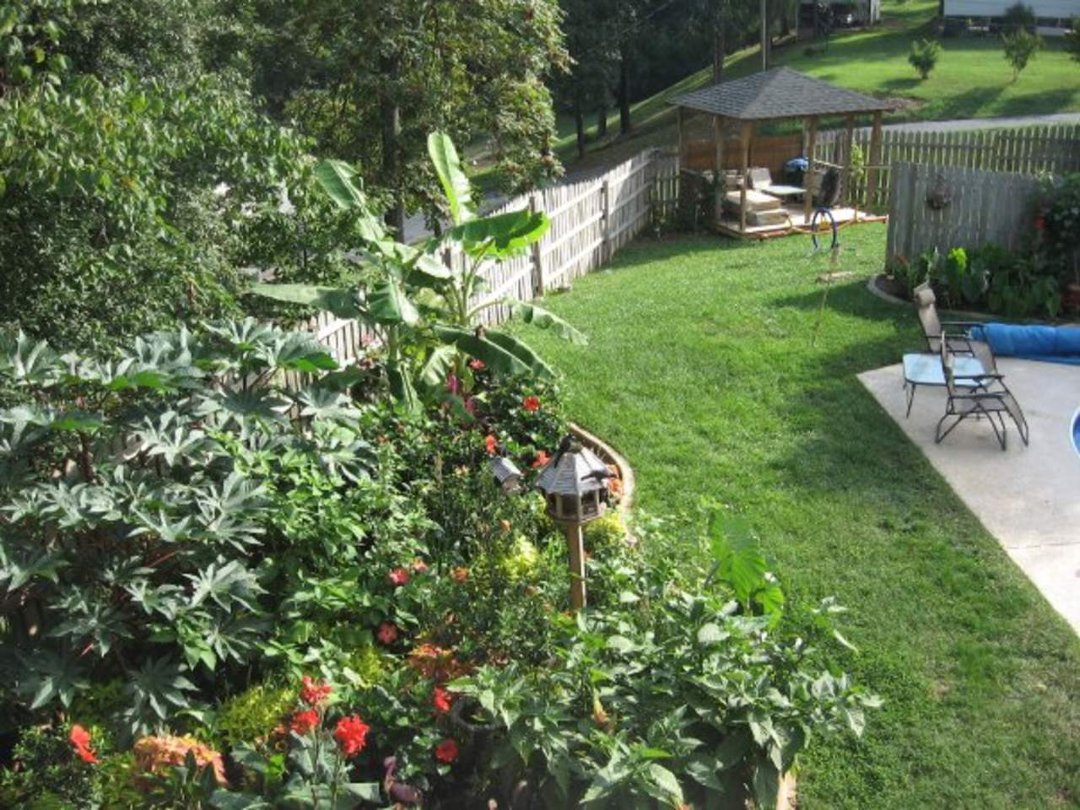 Sharon Moore's album, Missing My Garden