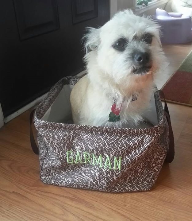 Bobbie Garman's album, Mobile Uploads