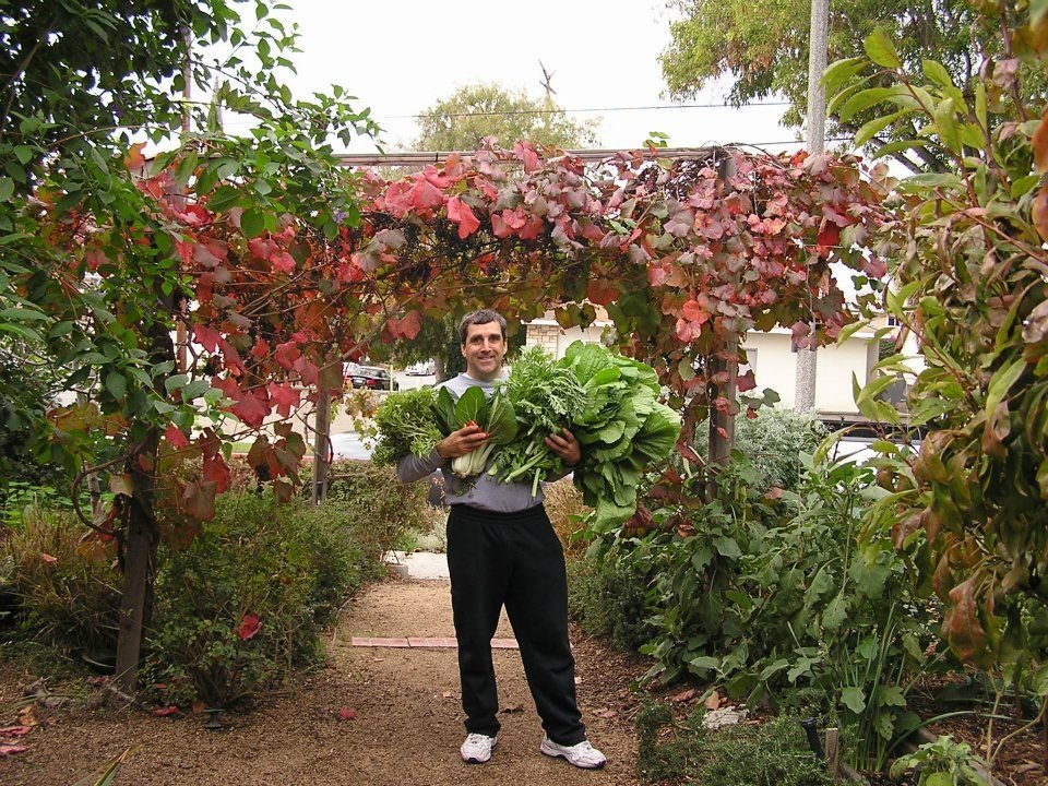 Mark Haprov's album, Veggies