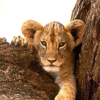 Carsten Aretz's album, Instagram Photos
