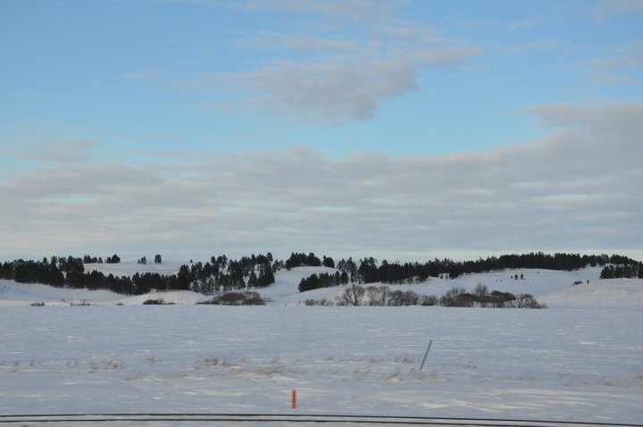 Edward Asbert's album, Cananda trip January , 2011