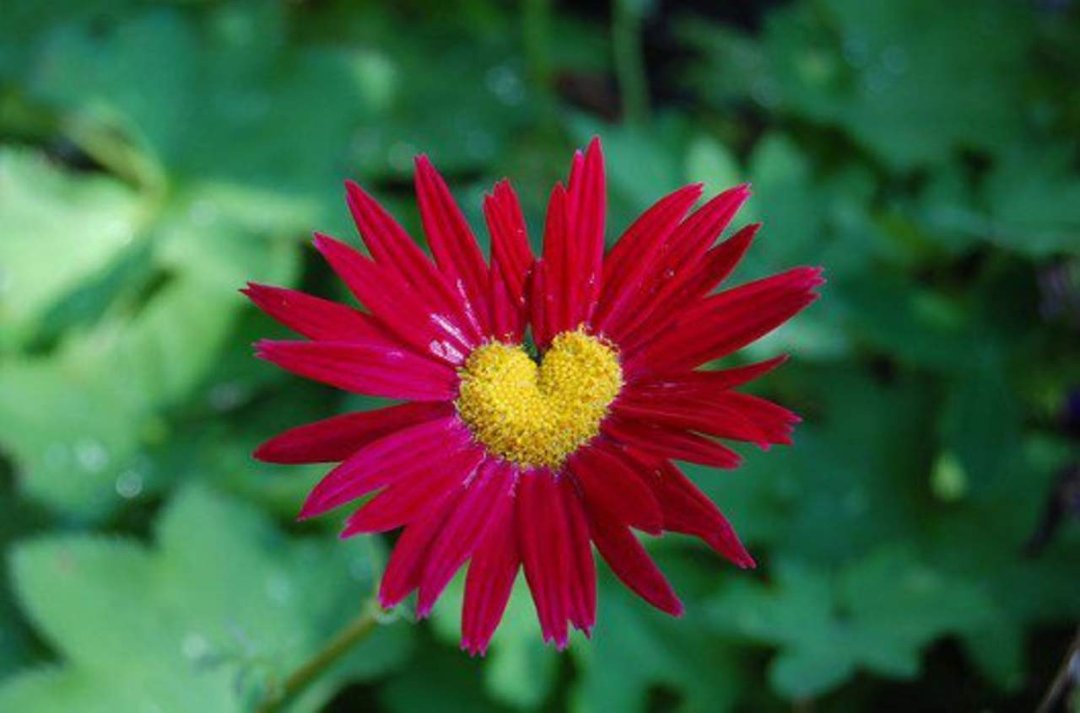 Barb Gerke's album, Timeline Photos