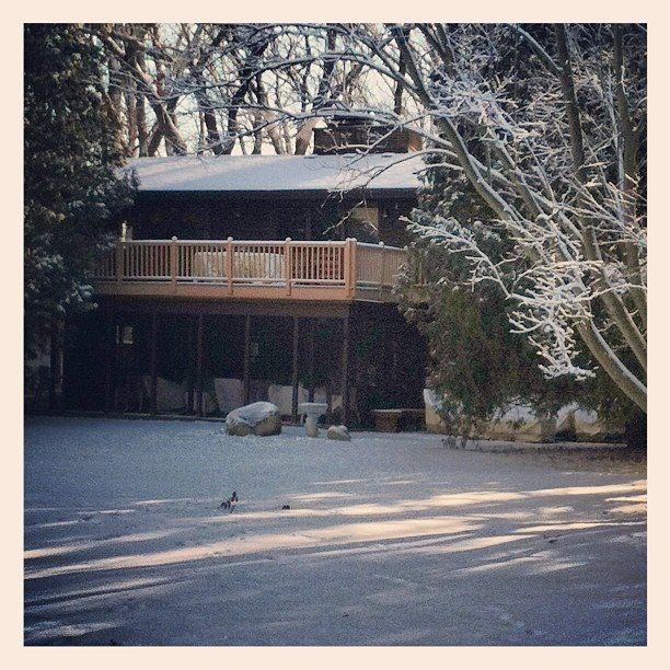 Dave Bengston's album, Instagram Photos