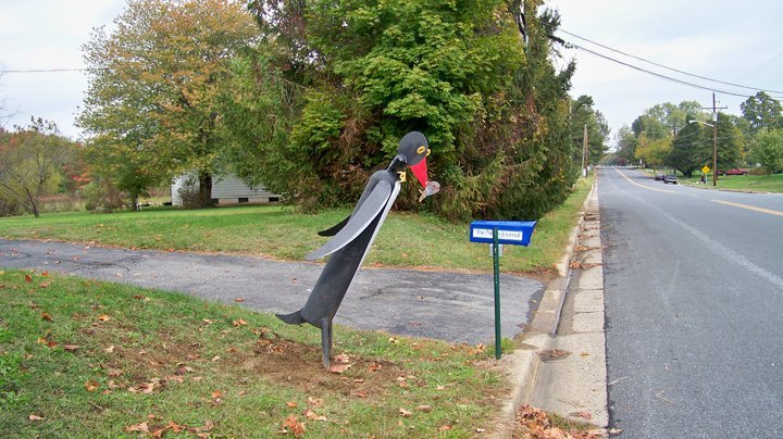 John Chobrda's album, Delaware
