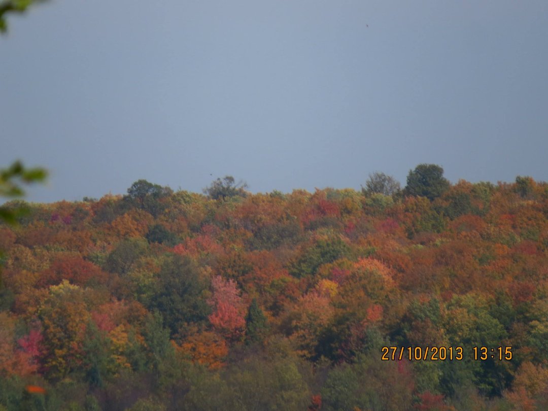 Mike Ivey's album, September 2013