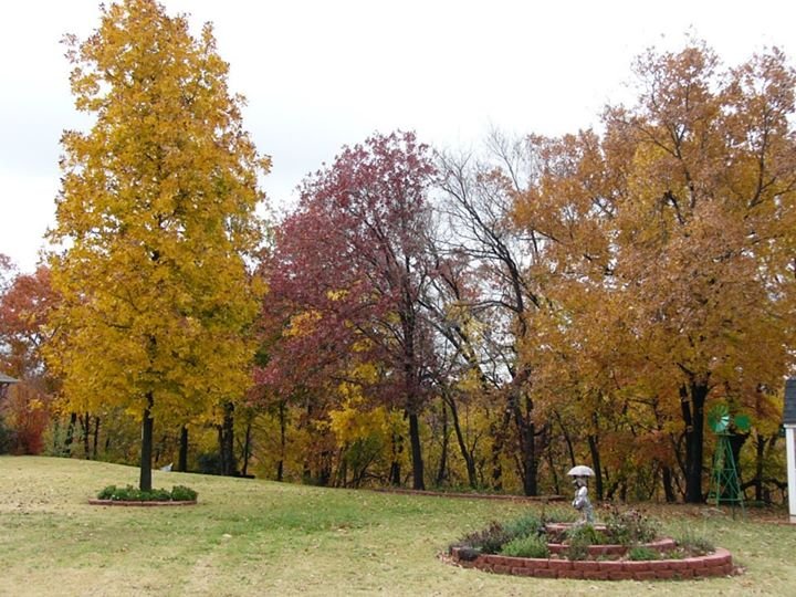 Terry Clark's album, Fall at the Clark house