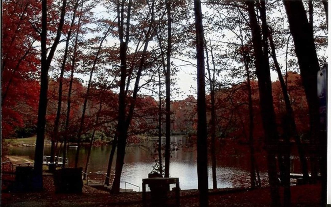 Ronald Roberts' album, Babcock Vacation in Fall of 2012