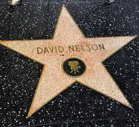 David Nelson's album, Profile Pictures