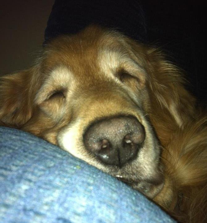 Beth Bottenfield's album, Profile Pictures