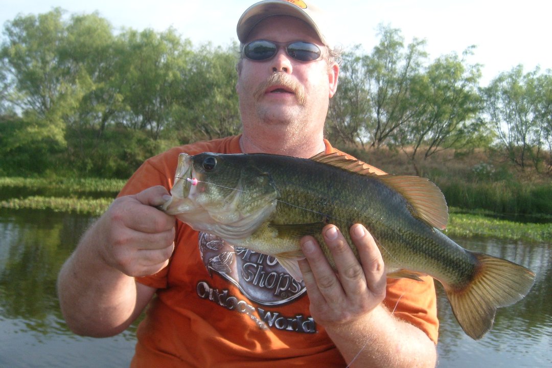 Ken Beck's album, Profile Pictures
