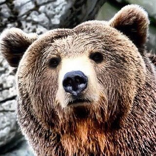 Carsten Aretz's album, Instagram Photos