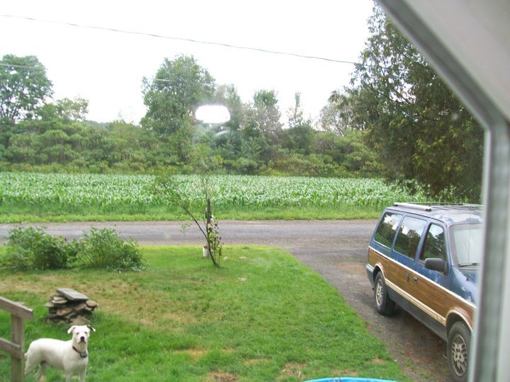 Jeffrey Smith's album, August 16, 2011