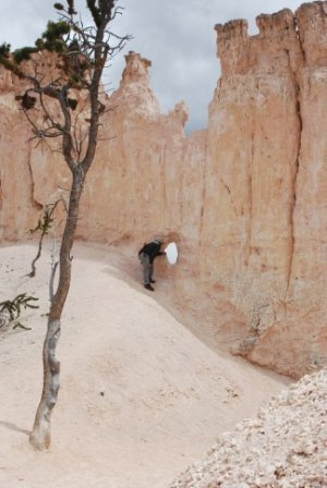 Michael Fingerle's album, West Trip 2010