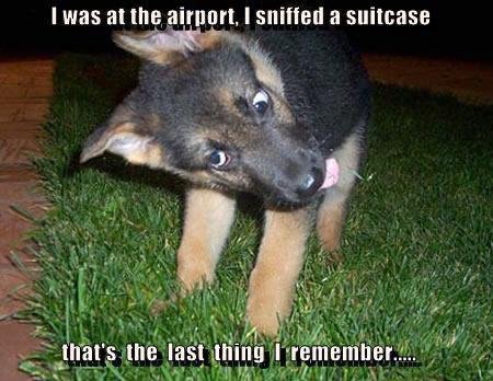 William Bell's album, Timeline Photos