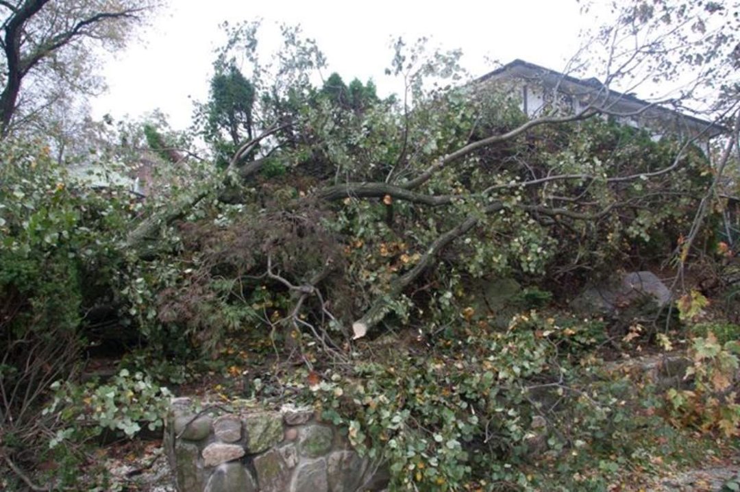 Thomas Bricker's album, Hurricane Sandy Visits the Brickers