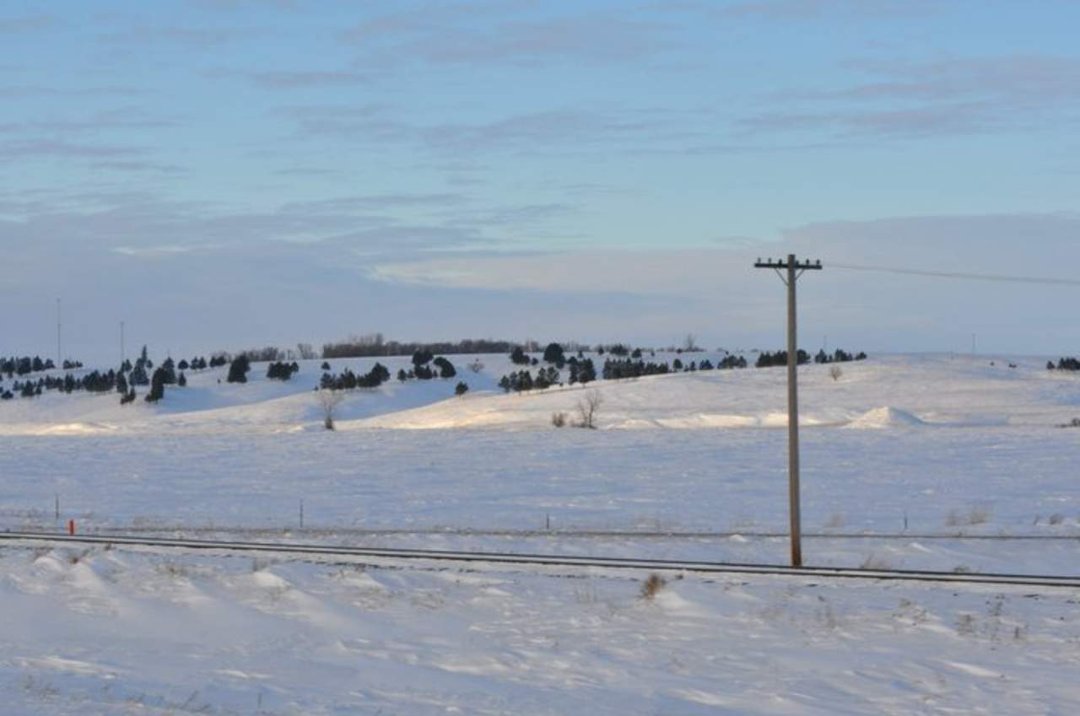 Edward Asbert's album, Cananda trip January , 2011