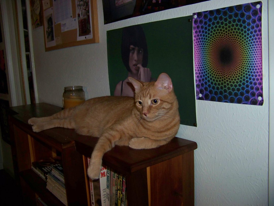 Mitchell Wofford's album, Profile Pictures
