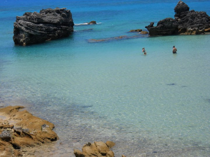 Tracy Robertson's album, Bermuda 2011
