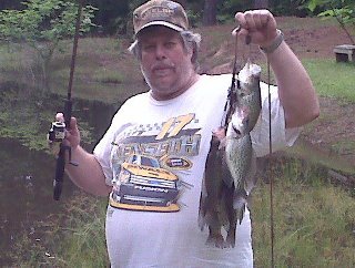 joel laster's album, Profile Pictures