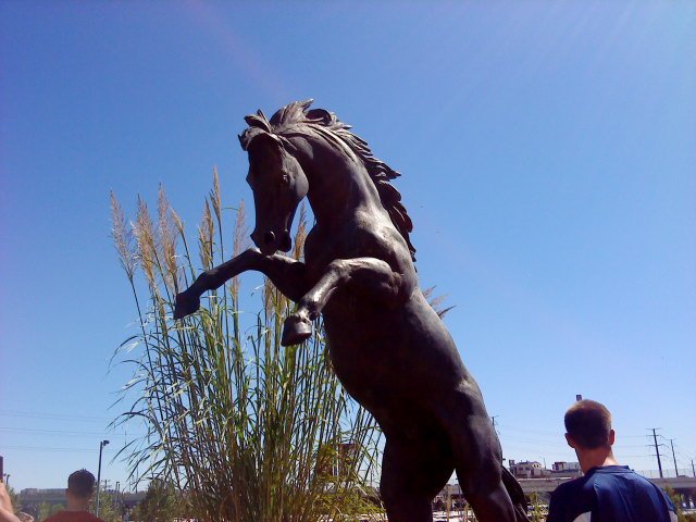 Brent Alcorn's album, Seahawks in Denver