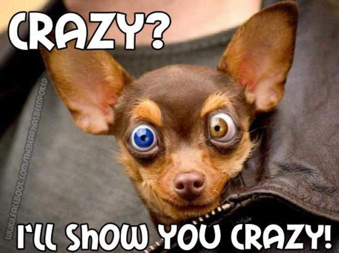 Gayle Bishop's album, Timeline Photos