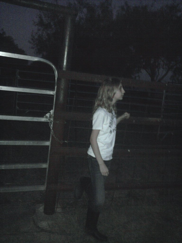 Michelle Sullivan Jonas' album, Mobile Uploads