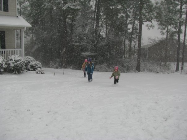 William Cecchini's album, Winter in North Carolina