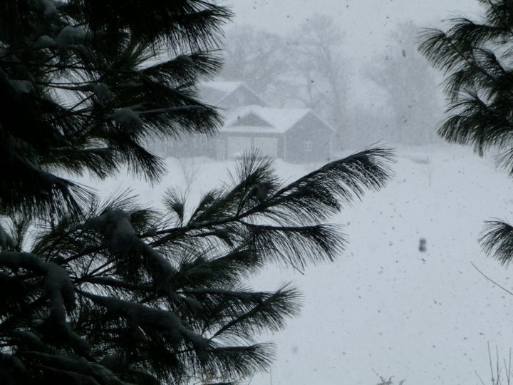 Daniel Czelatdko's album, Winter Storm Two 2011