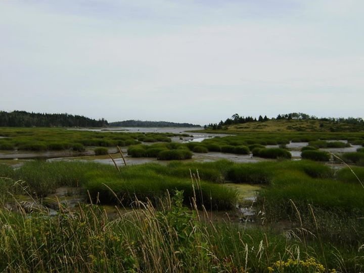 Deb Roberts' album, Cover Photos
