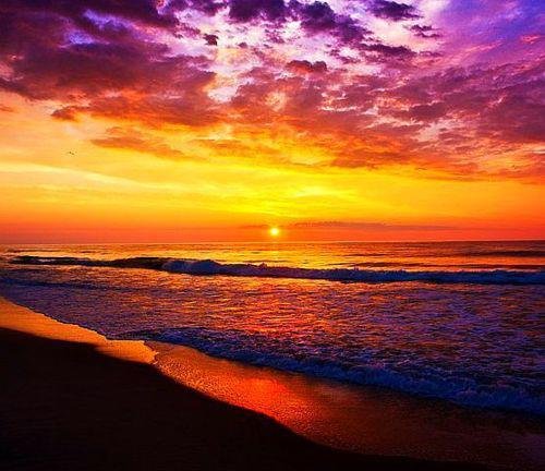Susan Duncan's album, Cover Photos
