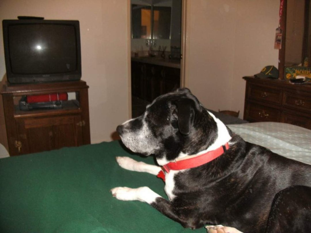 Robin Chase's album, December 5, 2010