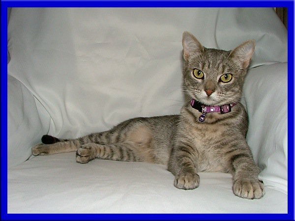 Marilyn Walker's album, My Pets