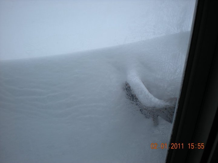 Stephen Hager's album, February 2, 2011
