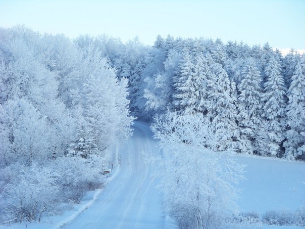 Kathryn Pfendler's album, Snow Day