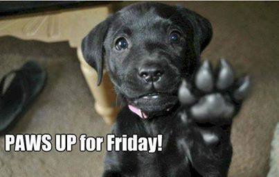 Loretta Cluf's album, Timeline Photos