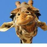 Donna Maxwell's album, Profile Pictures