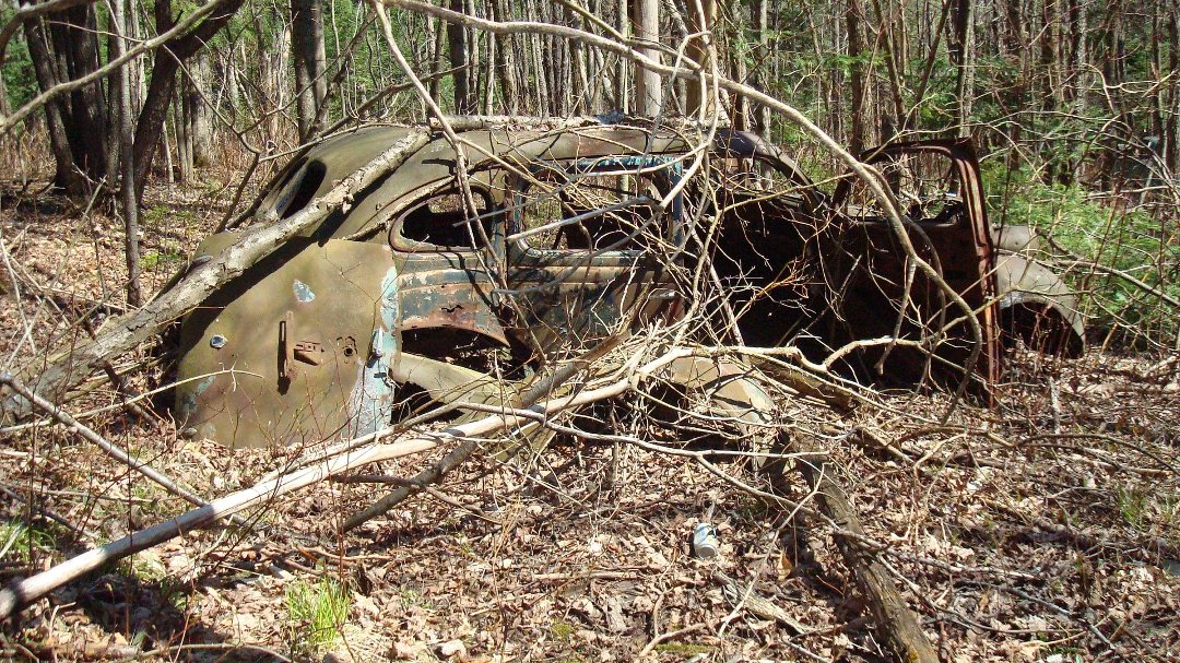 Chris Cunningham's album, 'Rustic' Scenes on a Recent Hike