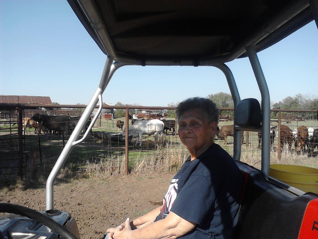 Sherry Vaught's album, Mobile Uploads