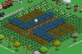 joel laster's album, FarmVille Photos