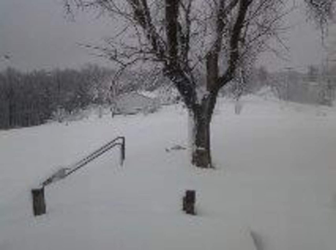 William Conner's album, Timeline Photos