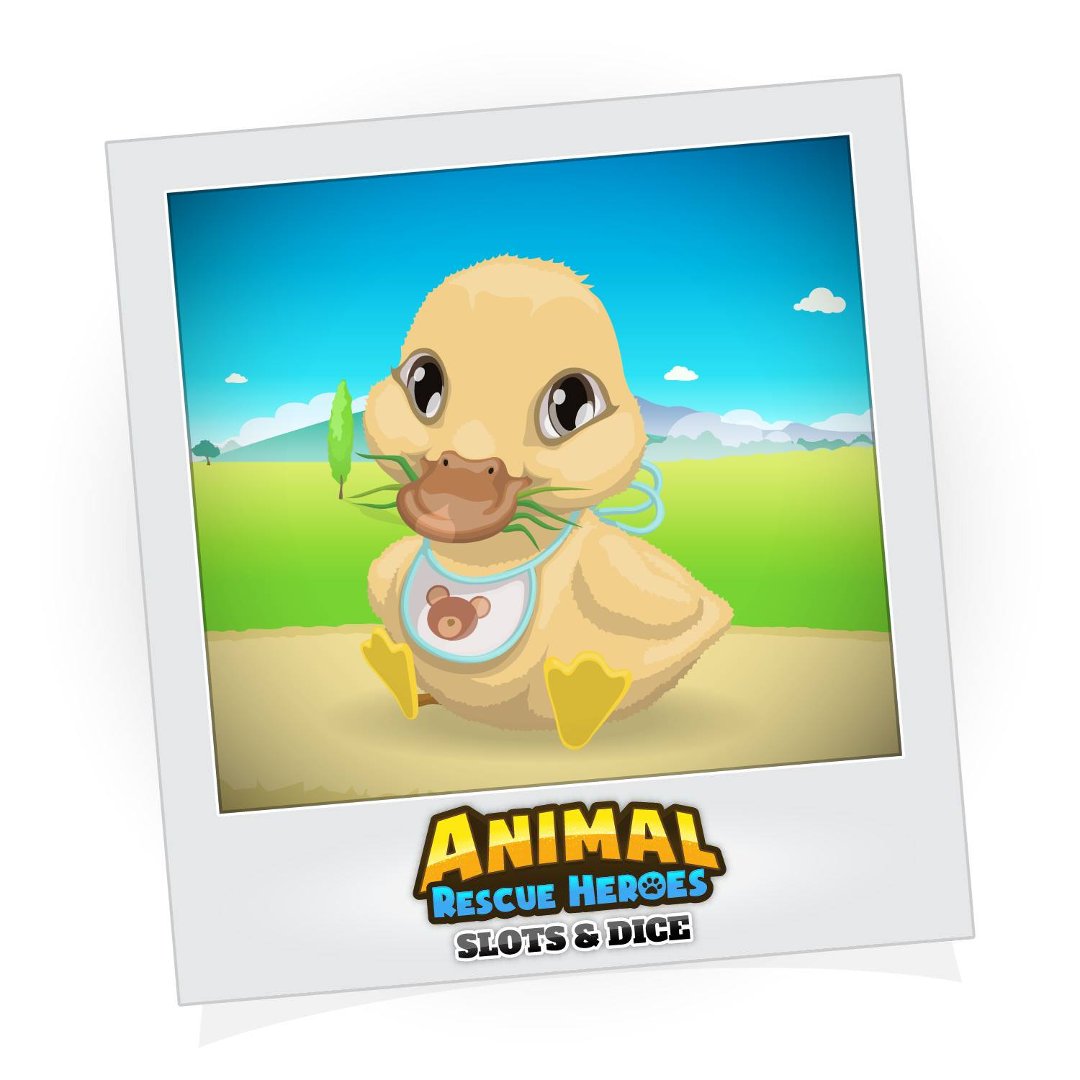 Shawn Fleeman's album, Animal Rescue Heroes: Slots&Dice Photos