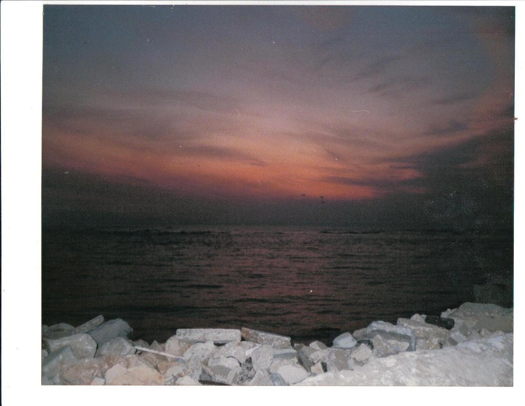Thomas Defalco's album, Profile Pictures