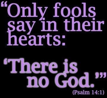 Fred Nuzzo's album, Timeline Photos