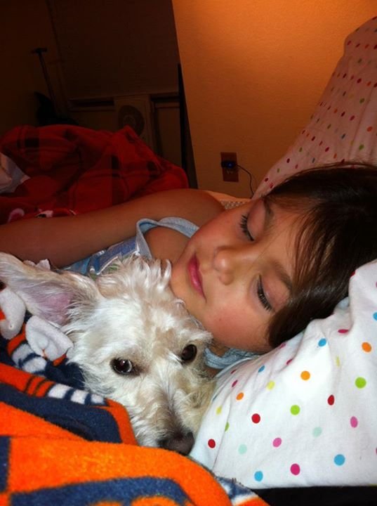 David Russell's album, Profile Pictures