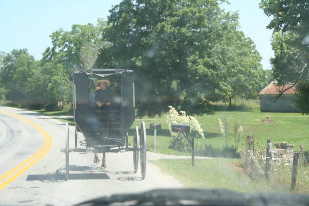 Regina Rowe's album, trip to kentucky summer 2008