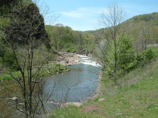 Gregory Condio's album, Fishing Wills Creek