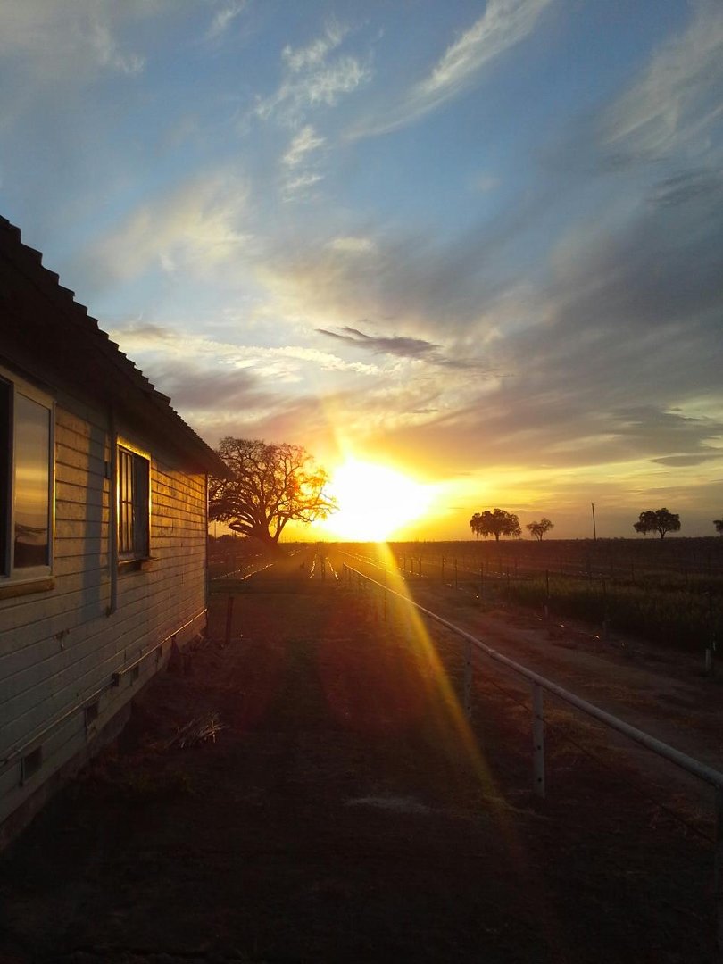 Mark Borboa's album, Cover Photos