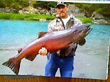 Todd Wedig's album, Profile Pictures